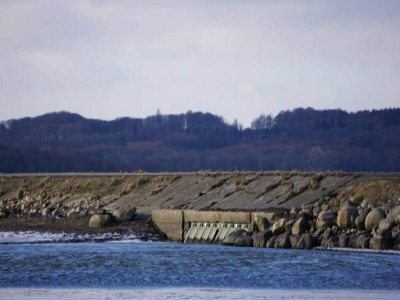 Holiday house Abgeschiedenes Waldrefugium in Gjol-By Traum - Outdoor photo 22