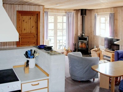 Holiday house Abgeschiedenes Waldrefugium in Gjol-By Traum - Outdoor photo 38