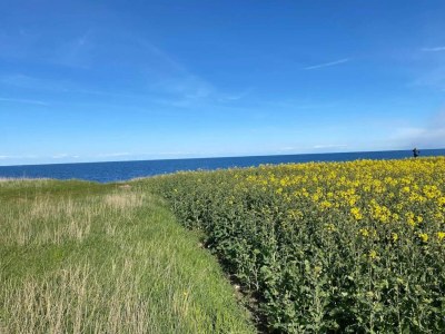 Holiday house 7 person holiday home in Grenaa - Outdoor photo 43