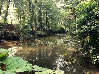 Holiday house 6 person holiday home in Sæby-By Traum - Outdoor photo 8