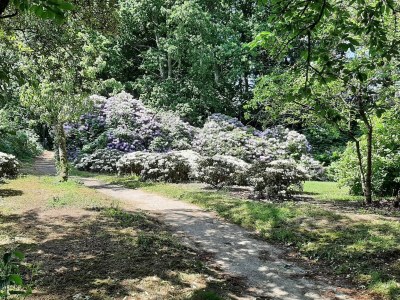 Holiday house 6 person holiday home in Sæby-By Traum - Outdoor photo 13