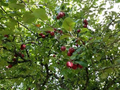 Holiday house 6 person holiday home in Sæby-By Traum - Outdoor photo 20