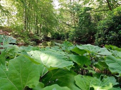 Holiday house 6 person holiday home in Sæby-By Traum - Outdoor photo 21