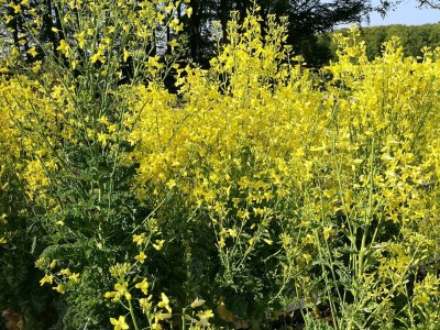 Holiday house 6 person holiday home in Sæby-By Traum - Outdoor photo 22