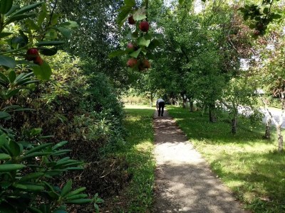 Holiday house 6 person holiday home in Sæby-By Traum - Outdoor photo 29