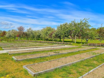 Holiday house 6 person holiday home in Sæby-By Traum - Outdoor photo 30