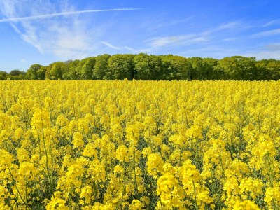 Holiday house 6 person holiday home in Sæby-By Traum - Outdoor photo 31