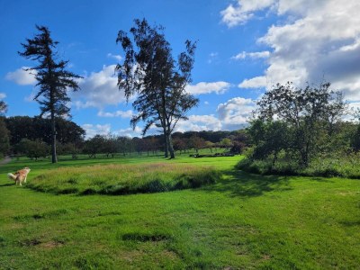 Holiday house 6 person holiday home in Sæby-By Traum - Outdoor photo 32