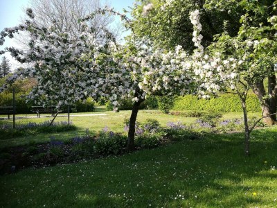 Holiday house 6 person holiday home in Sæby-By Traum - Outdoor photo 33