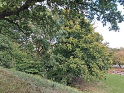 Holiday house 6 person holiday home in Sæby-By Traum - Outdoor photo 34