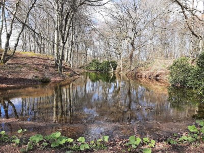 Holiday house 6 person holiday home in Sæby-By Traum - Outdoor photo 35
