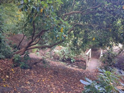 Holiday house 6 person holiday home in Sæby-By Traum - Outdoor photo 36