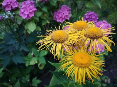 Holiday house 6 Personen Ferienhaus in Hejls-By Traum - Outdoor photo 25