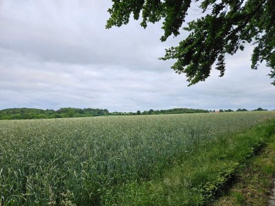 Holiday house 6 Personen Ferienhaus in Hejls-By Traum - Outdoor photo 33