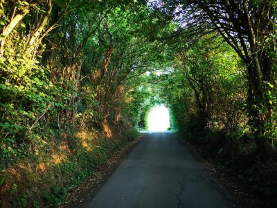 Holiday house 6 Personen Ferienhaus in Hejls-By Traum - Outdoor photo 34