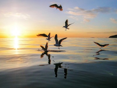 Holiday house 4 person holiday home in Botnhamn - Outdoor photo 7