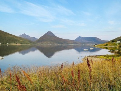 Holiday house 4 person holiday home in Botnhamn - Outdoor photo 33