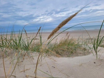 Holiday house 6 person holiday home in Strandby - Outdoor photo 26