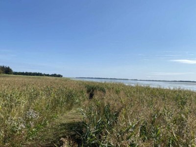 Holiday house 8 person holiday home in Hadsund - Outdoor photo 39