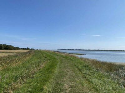 Holiday house 8 person holiday home in Hadsund - Outdoor photo 51