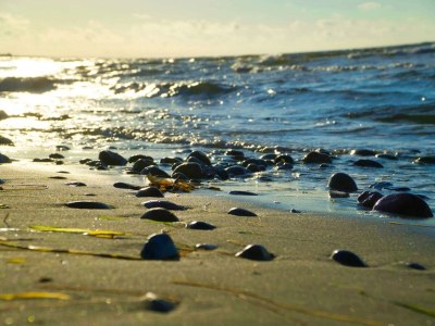 Holiday house 6 Personen Ferienhaus in Sydals-By Traum - Outdoor photo 23