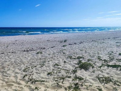 Holiday house 6 Personen Ferienhaus in Sydals-By Traum - Outdoor photo 41