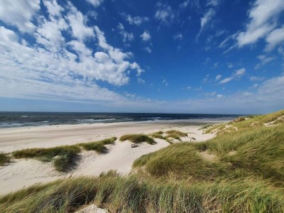 Holiday house 6 person holiday home in Henne-By Traum - Outdoor photo 16