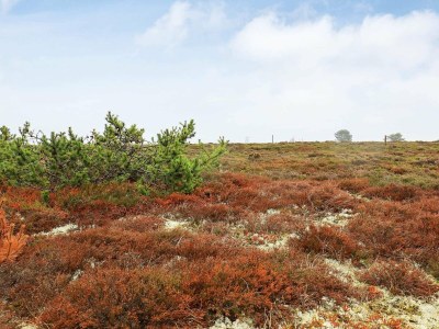 Holiday house 6 Personen Ferienhaus in Læsø - Outdoor photo 13
