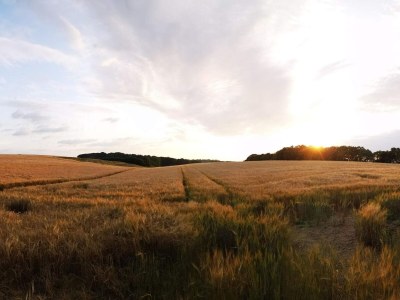 Holiday house 5 Personen Ferienhaus in Hejls-By Traum - Outdoor photo 18