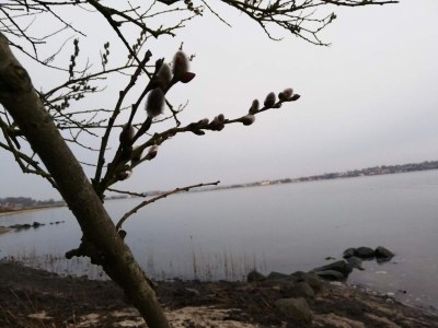 Holiday house 5 Personen Ferienhaus in Hejls-By Traum - Outdoor photo 34