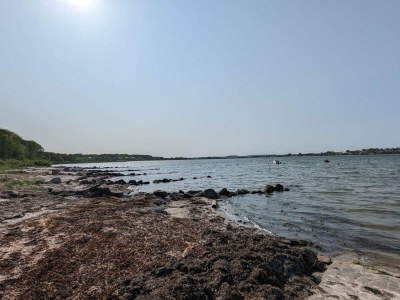 Holiday house 5 Personen Ferienhaus in Hejls-By Traum - Outdoor photo 35