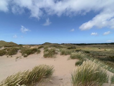 Holiday house 8 Personen Ferienhaus in Skagen-By Traum - Outdoor photo 14