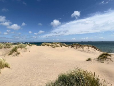 Holiday house 8 Personen Ferienhaus in Skagen-By Traum - Outdoor photo 33