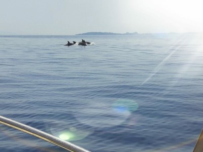 Villa Bohemia Beach Villa Erlebnis - Environment photo 31