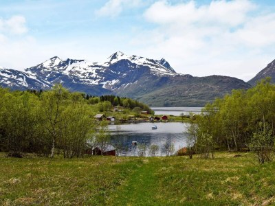 Holiday house 8 Personen Ferienhaus in Inndyr - Outdoor photo 13