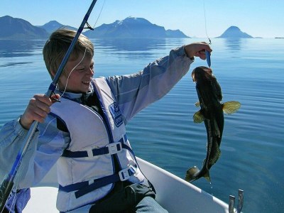 Holiday house 8 Personen Ferienhaus in Inndyr - Outdoor photo 21