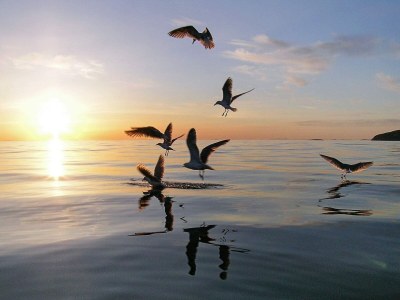 Holiday house 8 Personen Ferienhaus in Inndyr - Outdoor photo 29