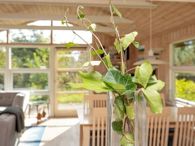 Holiday house 5 Personen Ferienhaus in Jerup-By Traum - Outdoor photo 9