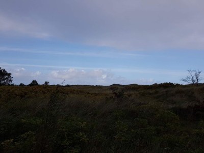 Holiday house 5 Personen Ferienhaus in Jerup-By Traum - Outdoor photo 17