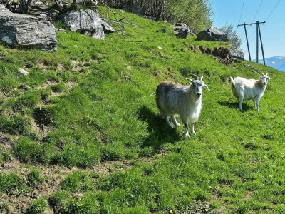 Apartment 6 Personen Ferienhaus in Onarheim - Outdoor photo 6