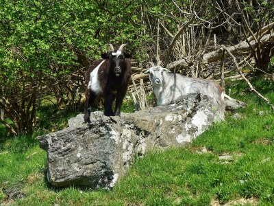 Apartment 6 Personen Ferienhaus in Onarheim - Outdoor photo 14