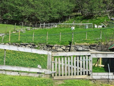 Apartment 6 Personen Ferienhaus in Onarheim - Outdoor photo 28