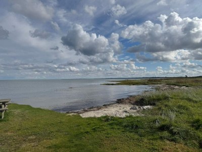 Holiday house 8 person holiday home in Ørsted - Outdoor photo 3