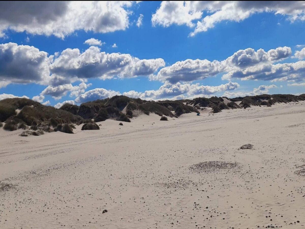 Holiday house 8 Personen Ferienhaus in Blåvand - Outdoor photo 4