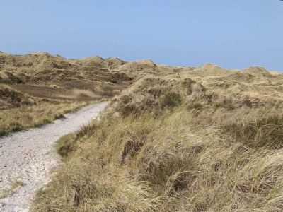 Holiday house 8 Personen Ferienhaus in Blåvand - Outdoor photo 36
