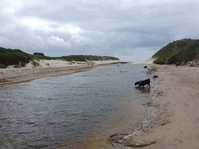 Holiday house 8 Personen Ferienhaus in Blåvand - Outdoor photo 38