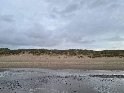 Holiday house 8 Personen Ferienhaus in Blåvand - Outdoor photo 41