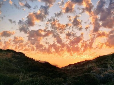 Holiday house 8 Personen Ferienhaus in Blåvand - Outdoor photo 46