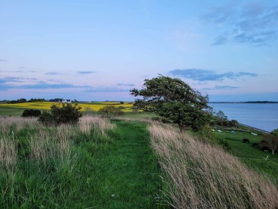 Holiday house 8 person holiday home in Ølsted-By Traum - Outdoor photo 9