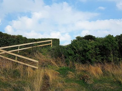 Holiday house 8 person holiday home in Ølsted-By Traum - Outdoor photo 21